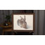 «Young Hare» par Albrecht Dürer
