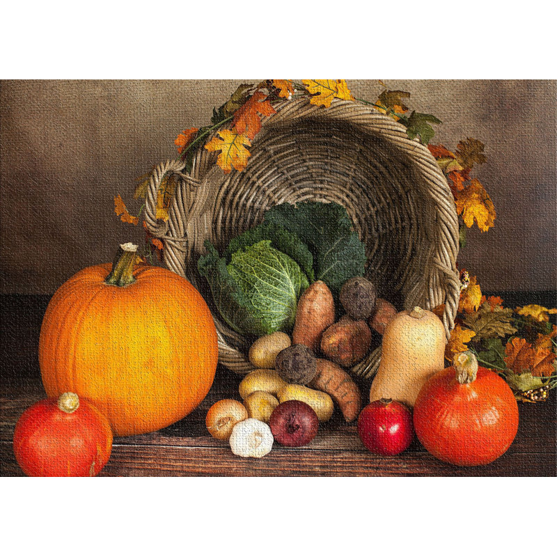 Performance Cotton Indoor Rug, Rectangle 5' x 7'