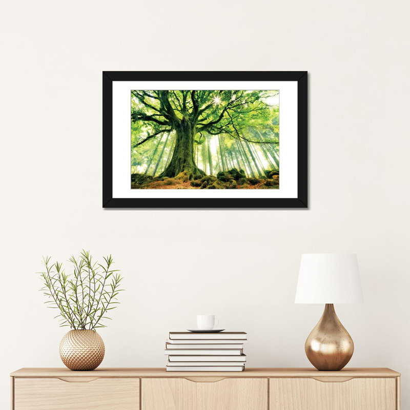 " Ponthus' Beech " by Christophe Kiciak, 16" H x 24" W x 1" D, Black Framed Fine Art Paper, White