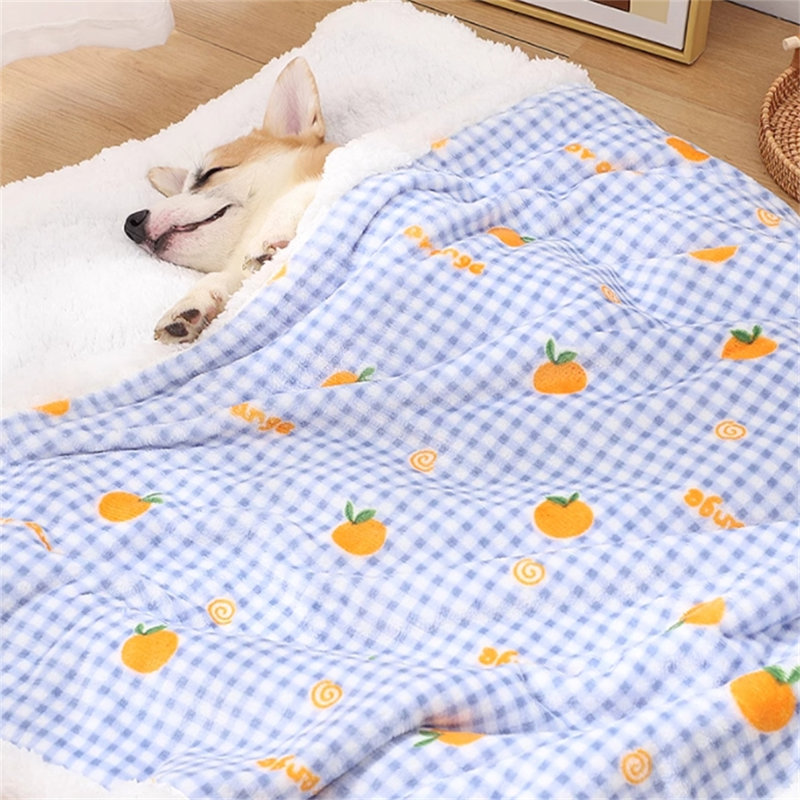 Petite courtepointe pour animal de compagnie