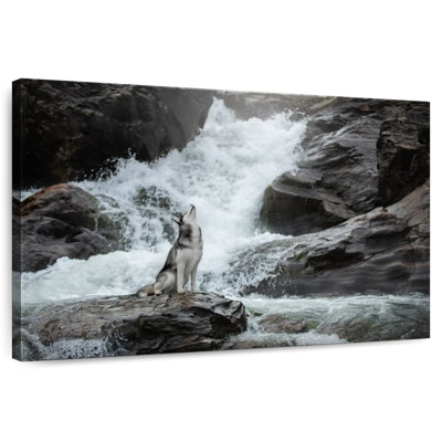 Alvord Husky By Waterfall