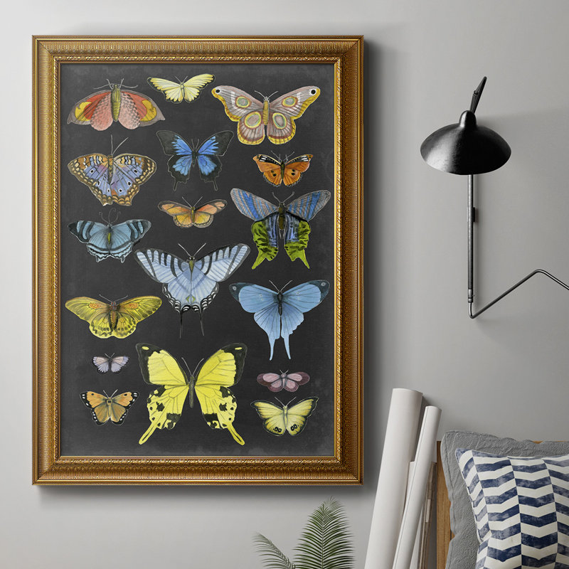 Toile encadrée de qualité graphique avec papillons taxonomiques II - prête à être accrochée, H 36 po x l 24 po x P 2,5 po