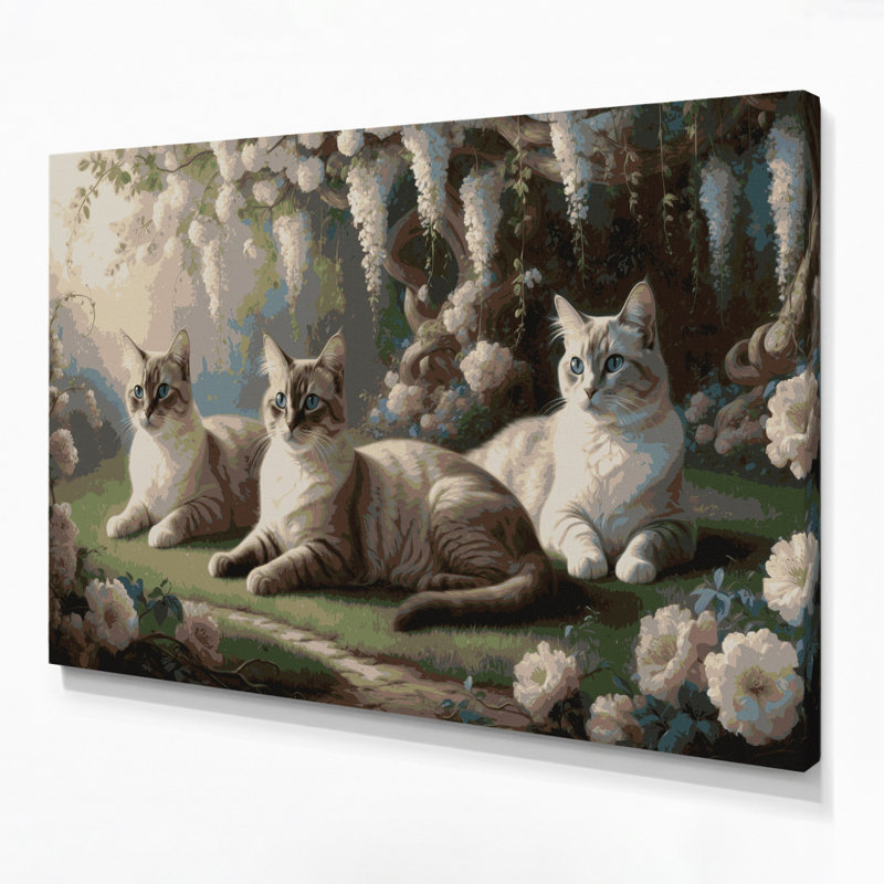 Cats tonkinois gris, art mural sur toile, H 11 po x l 14 po