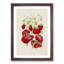 Illustration of Strawberry Plants - Framed Print-55641410-55641411