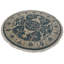 Kassidie Oriental Area Rug in Blue