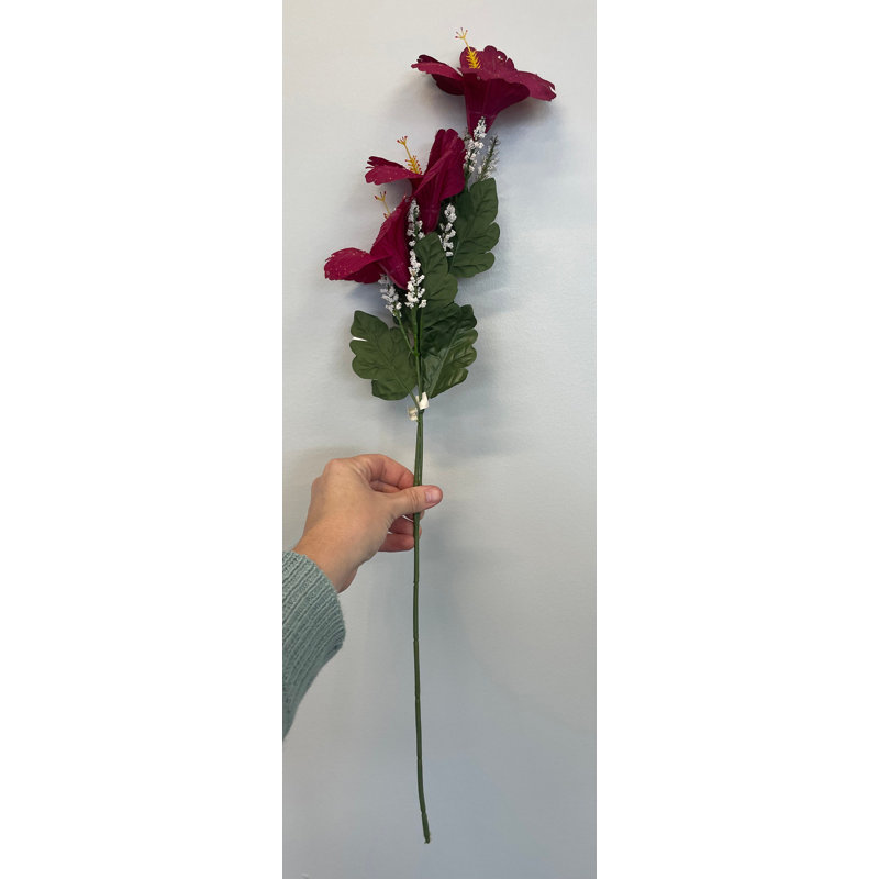 Hibiscus sprays