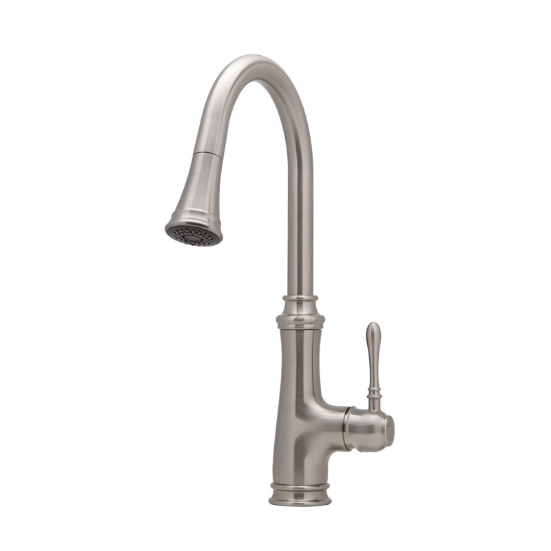 Ancona Pull Out Kitchen Faucet