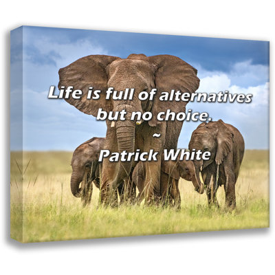 Citation de Patrick White: La vie est pleine d'alternatives, mais pas le choix.