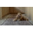Amber Lewis x Loloi Machine Washable Josie Dove / Gold Area Rug-102676708
