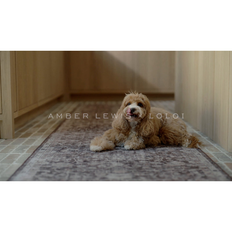 Amber Lewis 6' Round Black and Earth Washable Wool Rug