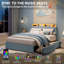 Structure de lit double avec tête de lit et lumières DEL RVB, 2 tiroirs sous le lit, tête de lit réglable, velours bleu non nécessaire-130632830-130632835