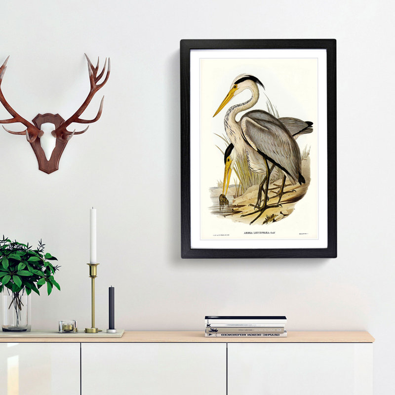 Great Grey Herons by Elizabeth Gould - Picture Frame Painting Print, 65cm H x 48cm W x 2cm D, Black Framed