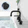 Widespread 2-handle Bathroom Faucet with Drain Assembly