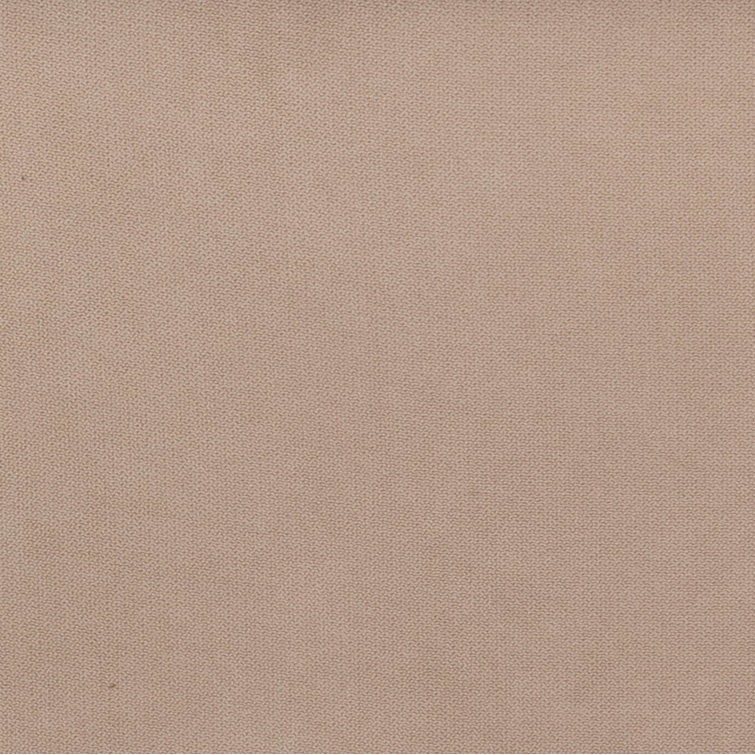 Cotton Beige Sample