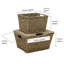World Menagerie Box-1833740462-1833740432