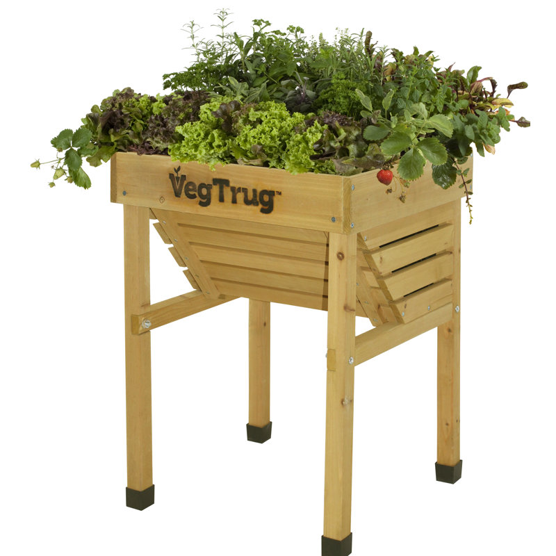 VegTrug Kids - Naturel (FSC 100 %)