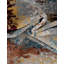  Tapis lavable Tiles Kamala-561108104