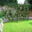 Cadmoin 210cm H x 50cm W Metal Lattice Panel Trellis