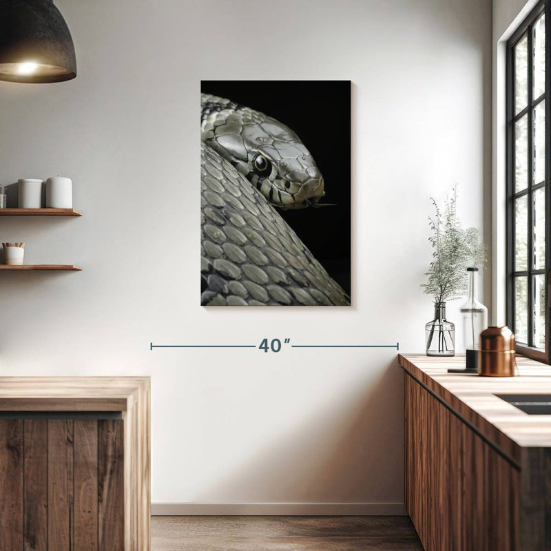Brampt Necklace Snake, 36" H x 24" W