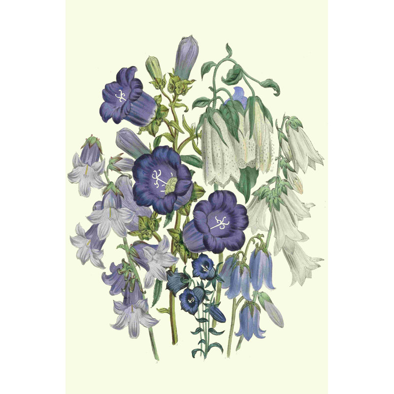 Loudon Florals I, H 18 po x l 12 po