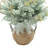 Eucalyptus Arranged in Decorative Ceramic Vase