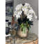 Arrangement floral orchidée en pot-55225973