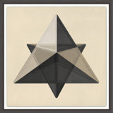 Translucent Form 6' Framed Graphic Art Print on Glass
