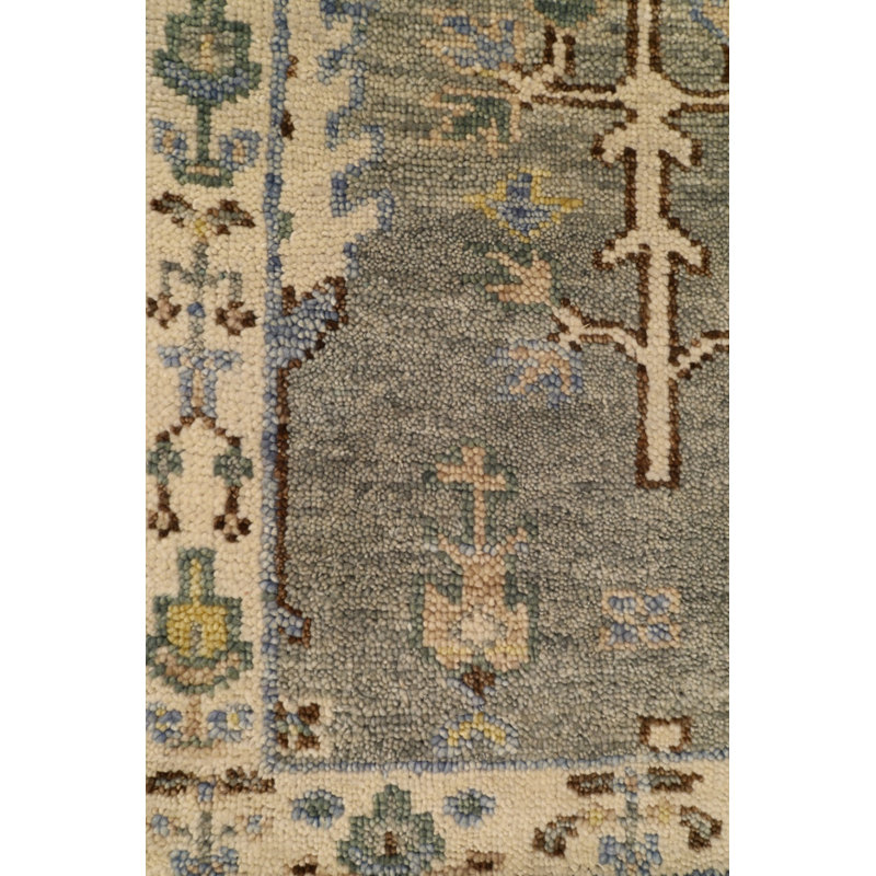 Bakshaish Oriental Area Rug in Gray