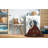 Oriental Indoor Rug-969253252