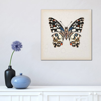 Butterfly Study II 1 Piece Wrapped Canvas Painting
