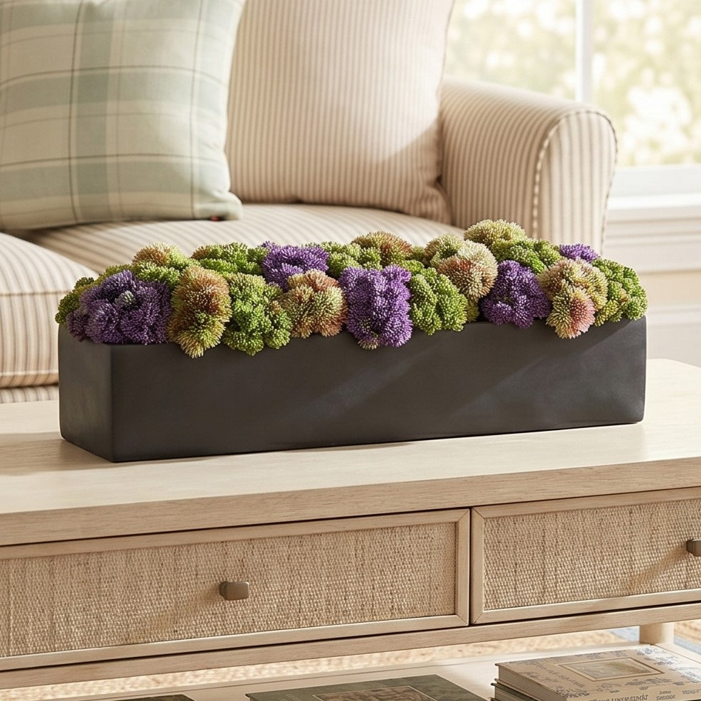 7'' Faux Succulent Plant in Fiberstone Planter, Rectangular, 7" H x 19" W x 6" D, Black
