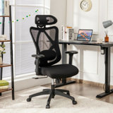 Cristinia Task Chair with Headrest