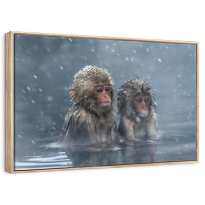 Monkey Duo