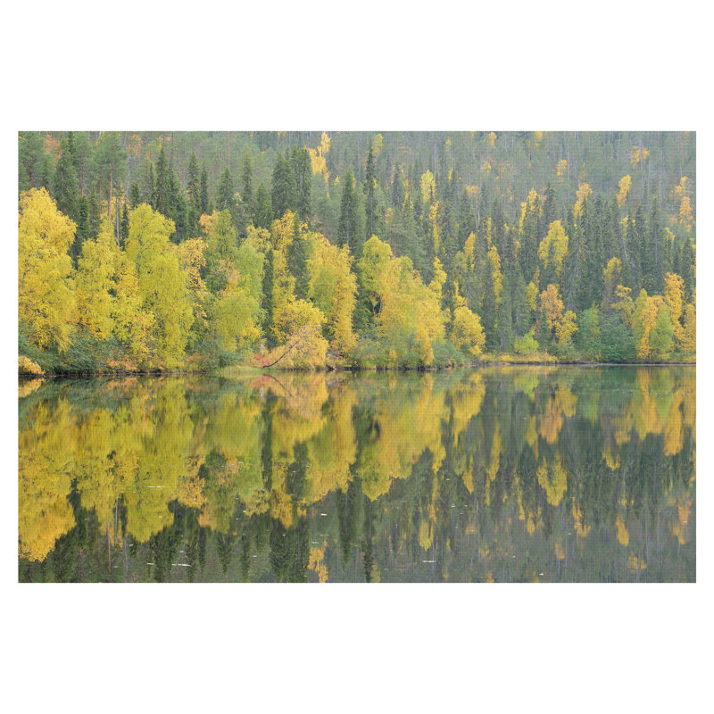 Vibrant Green and Yellow Forest Landscape Canvas Print