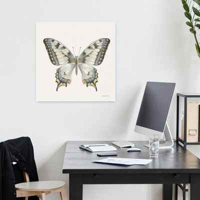 Beetles and Butterflies I Neutral Butterfly Art