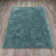 Petrey Indoor Rug