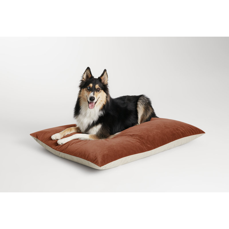 Signal Polyester Dog Pillow/Classic, Copper Velvet, 28" H x 35" W