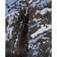 Overdyed One-of-a-Kind Rectangle 9'2" X 12'2" Hand Knotted Area Rug