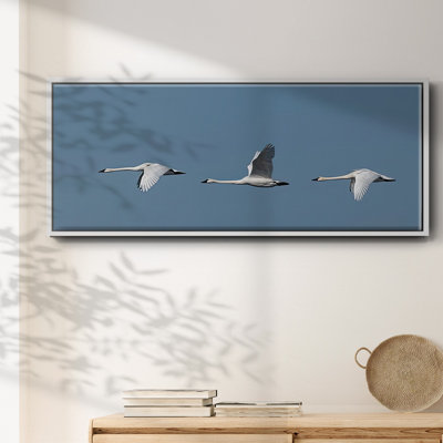 «Wing Up Wing Down», toile encadrée