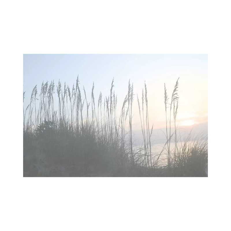 Morning Whisper I by Sharon Chandler - Wrapped Canvas Print, 20.32 cm H x 30.48 cm W