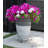Quamaine Tall Vase Composite Pot Planter