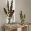 ENGAWA Natural White Oak Bench-1695739957