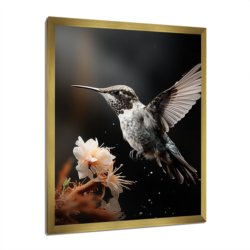 «Borgata Black White Hummingbird Energetic», reproduction sur toile, H 44 po x l 34 po x P 1,5 po, Encadrement doré
