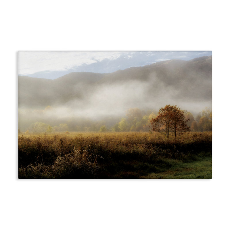 «Lifting Fog over Nature» par D. Burt, H 20 po x l 30 po