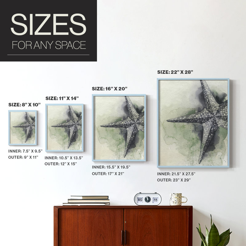 «Found Starfish II», reproduction encadrée - bois massif, Bleu, H 30 po x l 24 po