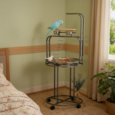 Heavy Duty Bird Play Stand on Wheels, Stainless Steel & Powder-Coated Metal Parrot Gym