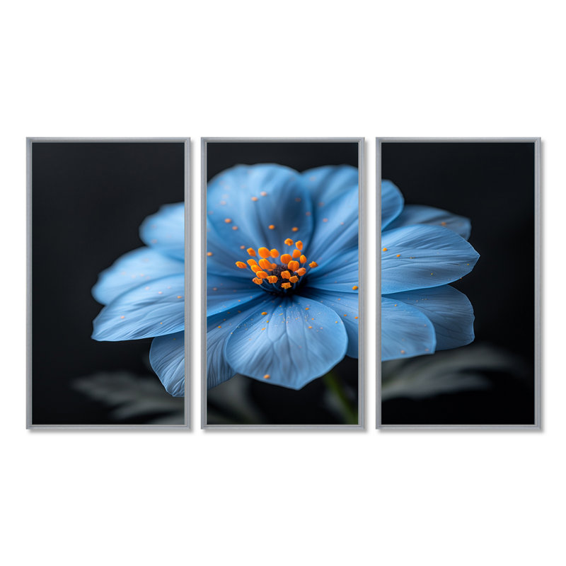 Bleu orange délicat Marigold Photo II - ensemble d'art mural souci, H 28 po x l 36 po x P 1 po