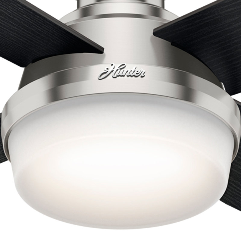 Ventilateur de plafond avec lumières DEL Pollman, Noir / chêne chocolat