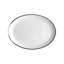 Platinum Edge Bone China Dinner Plate-877050494