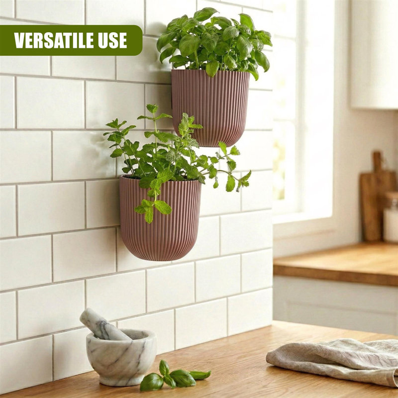 Wall Planter